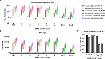 Simultaneous measurement of multiple variant-specific SARS-CoV-2 neutralizing antibodies with a multiplexed flow cytometric assay